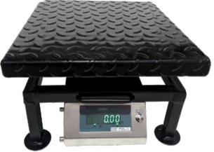 DS-215 SS Portable Scale