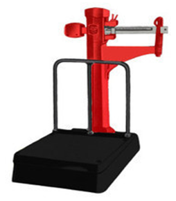 MECHANICAL PLATFORM SCLAES
